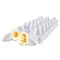 Learning Resources® Chick Life Cycle Exploration Set
